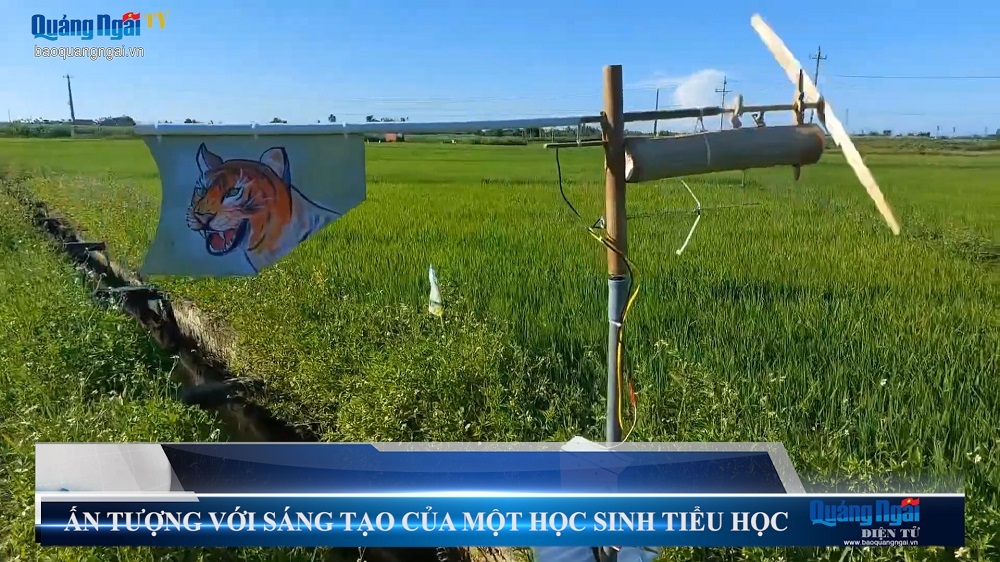 Video: Ấn tượng với sáng tạo của một học sinh tiểu học