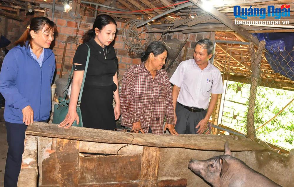 Khảo sát các mô hình 