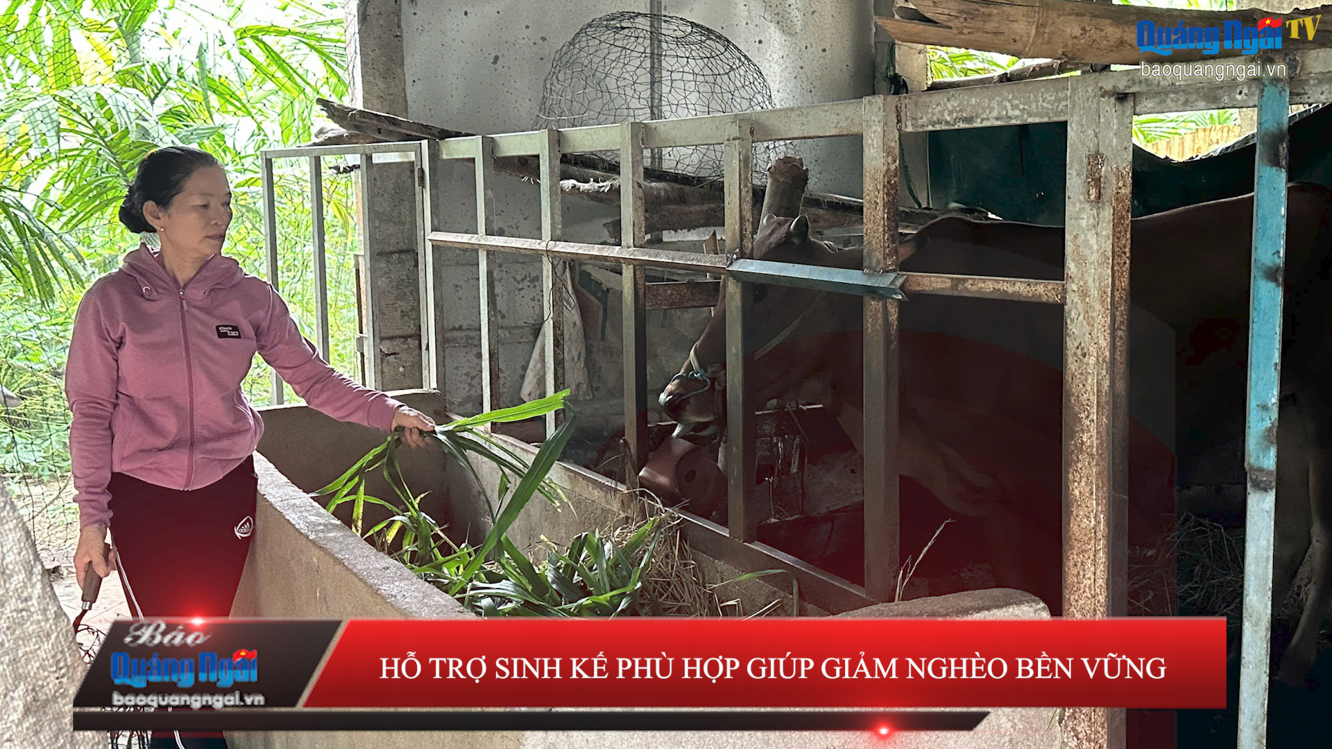 [Video]. Hỗ trợ sinh kế phù hợp giúp giảm nghèo bền vững