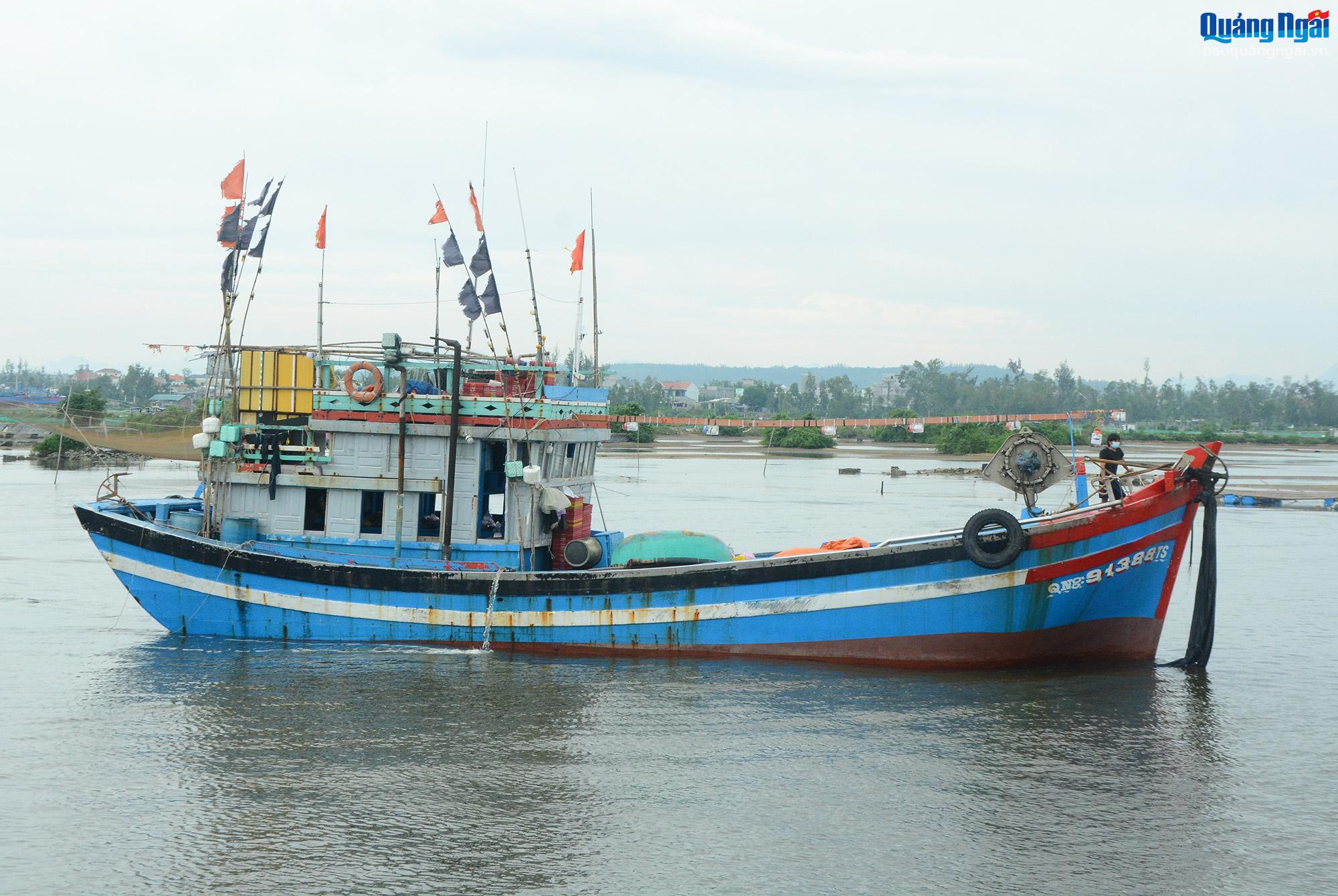 Quảng Ngãi còn 329 tàu cá đang hoạt động trên các vùng biển