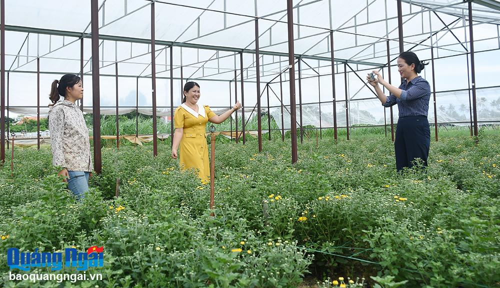 Thành phố Quảng Ngãi: Phát triển nông nghiệp gắn với du lịch