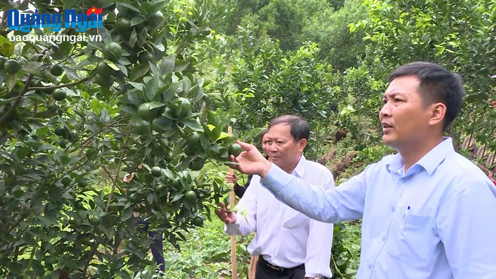 Khơi dậy ý chí thoát nghèo