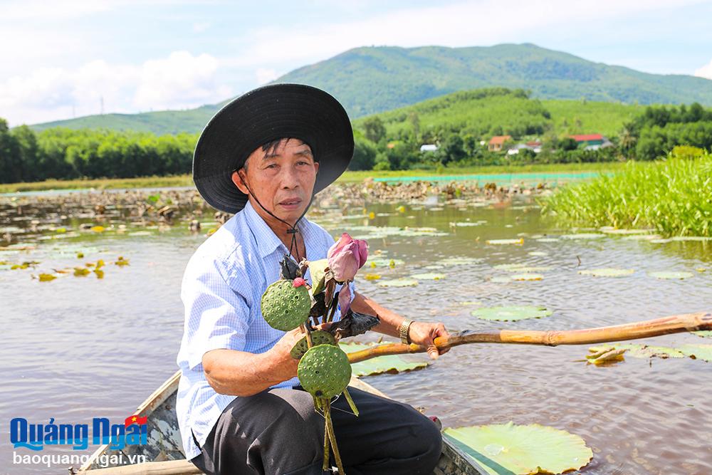Sen chết hàng loạt, người trồng 