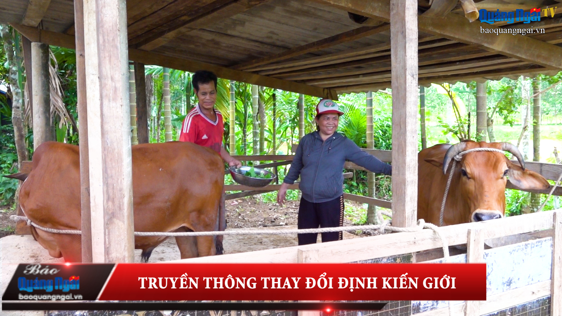 [Video]. Truyền thông thay đổi định kiến giới