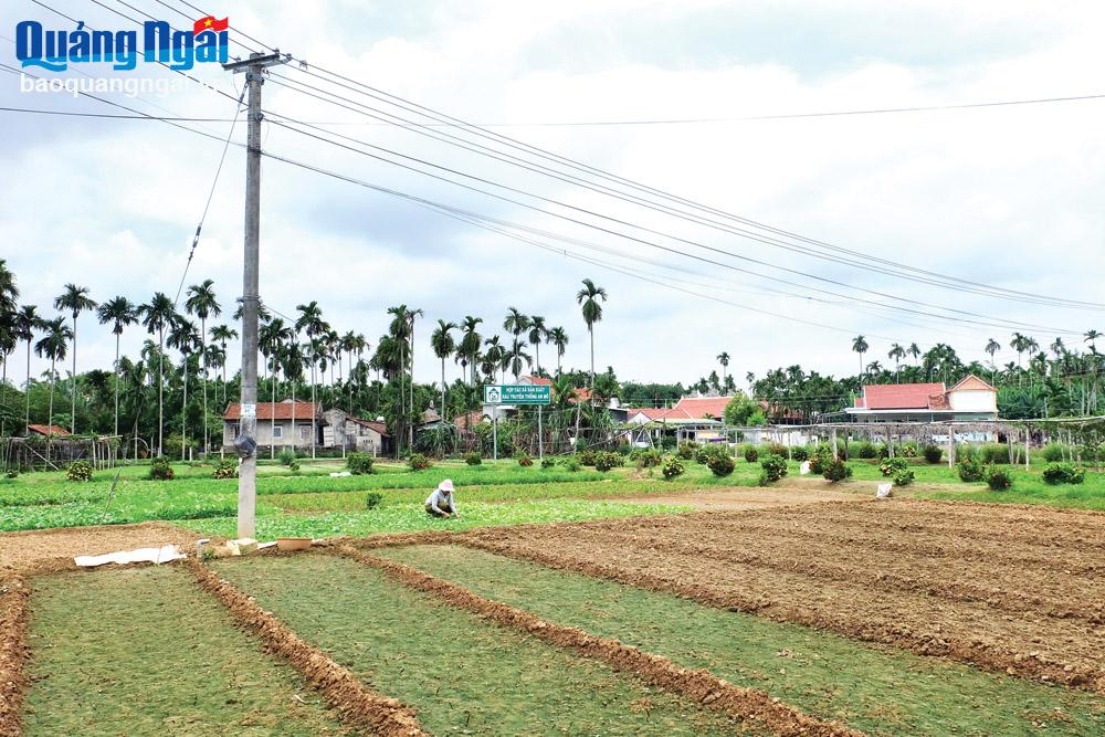 Mộ Đức xây dựng huyện nông thôn mới