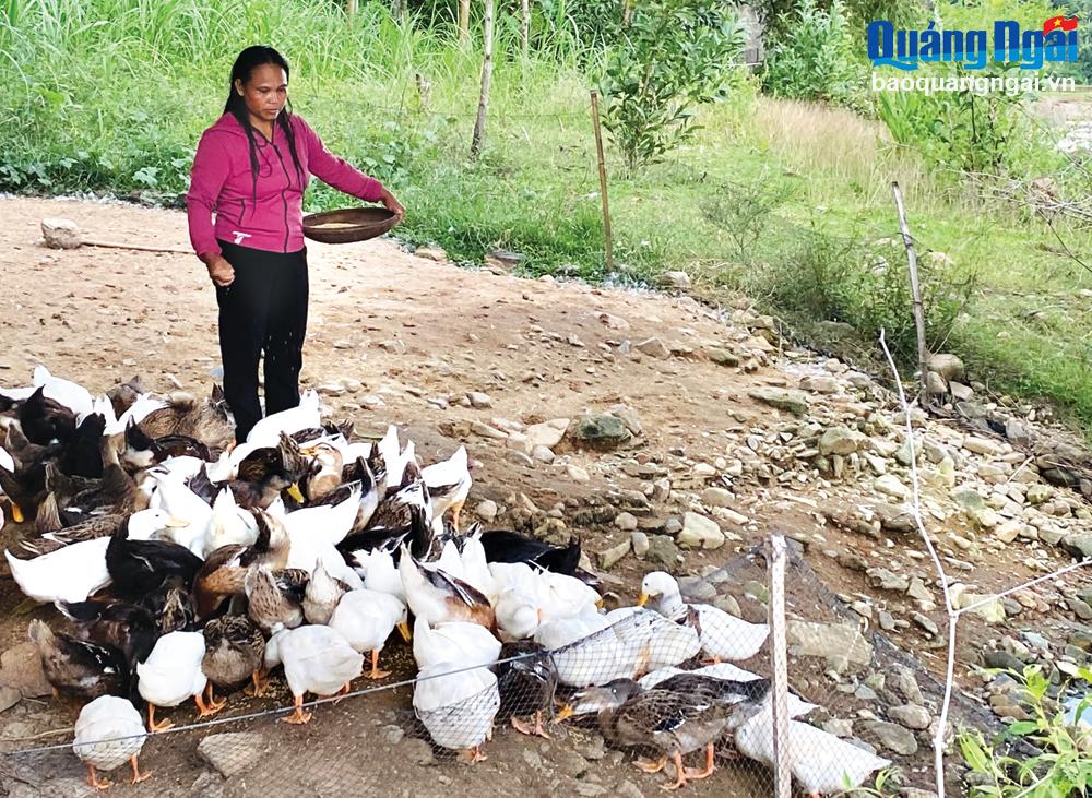 Những phụ nữ Hrê làm kinh tế giỏi