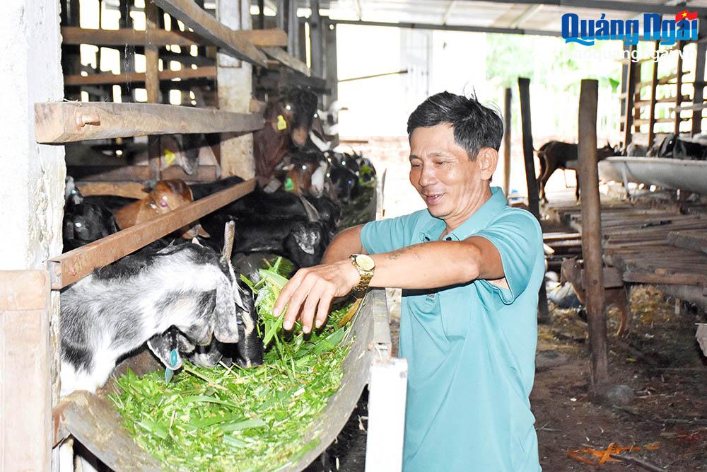 Thành phố Quảng Ngãi tạo sinh kế cho người dân vùng ven