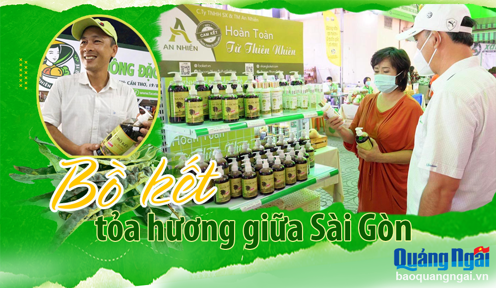 Bồ kết tỏa hương giữa Sài Gòn