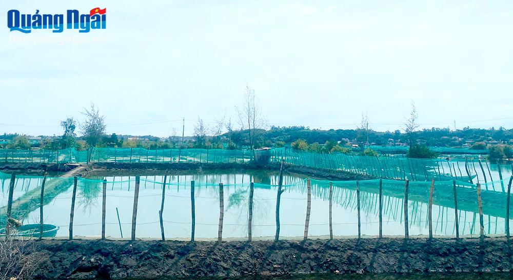 Người nuôi thủy sản ứng phó với mưa bão