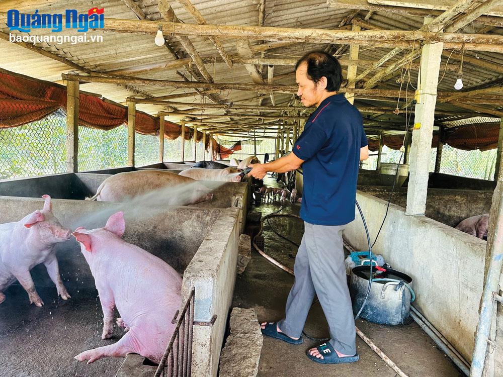 Bảo vệ đàn vật nuôi 