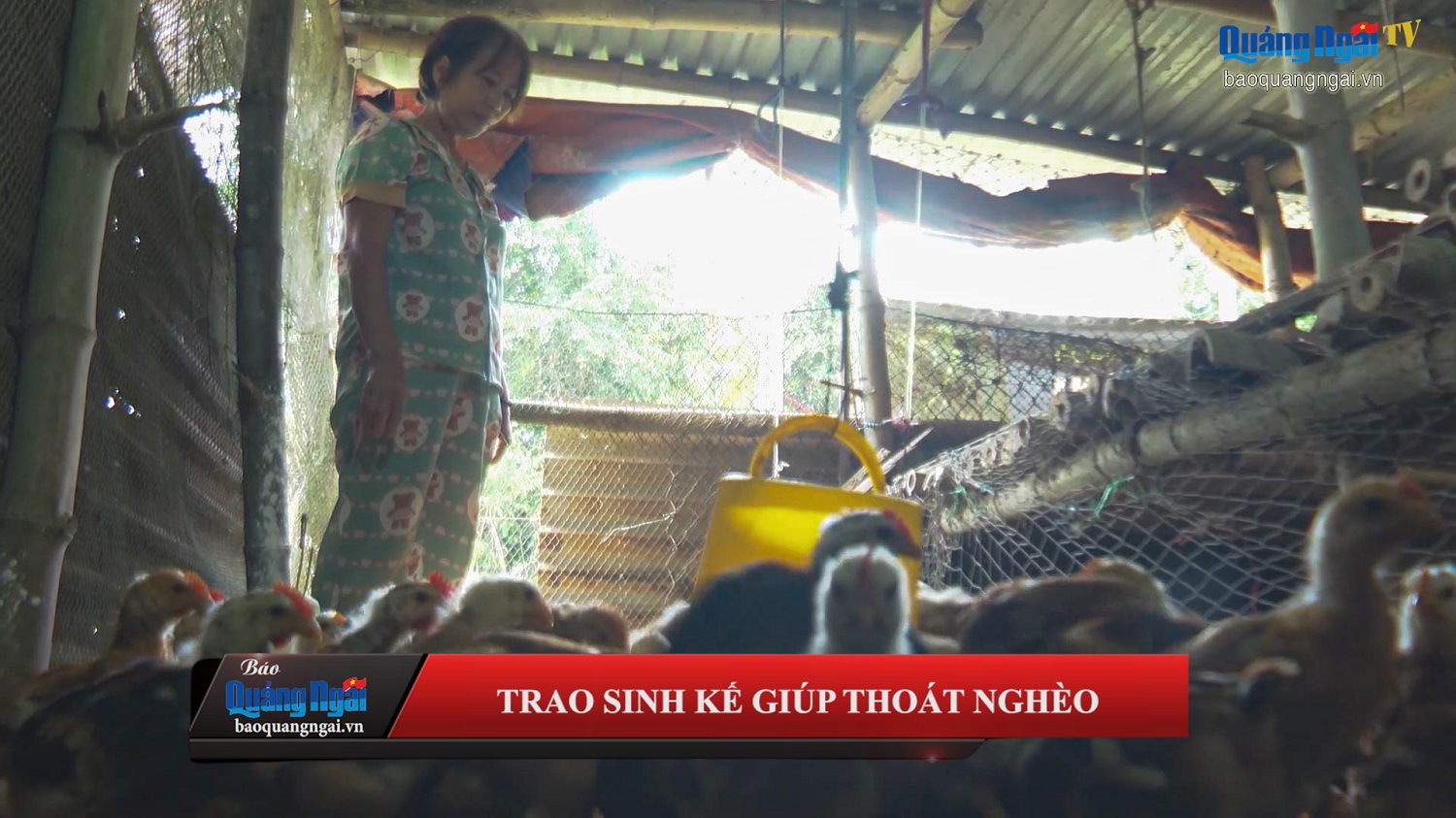 [Video]. Trao sinh kế giúp thoát nghèo bền vững