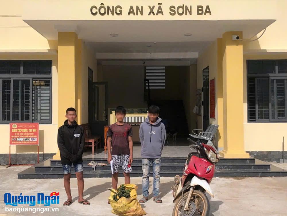 Liên tiếp phát hiện, xử lý nhiều vụ trộm cau