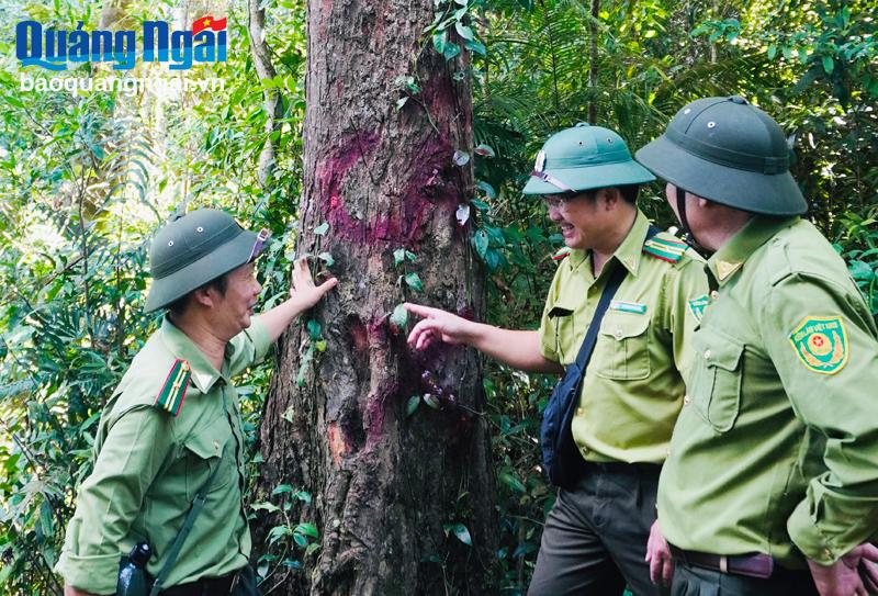 Gìn giữ mái nhà chung