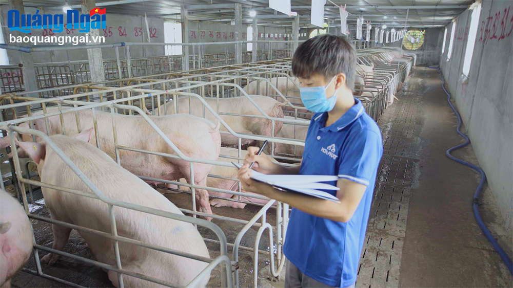 Lợi nhuận mảng nông nghiệp của Hòa Phát quý III/2024 tăng 80% 