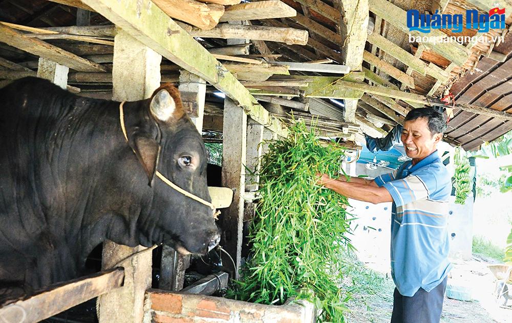 Những nông dân sản xuất, kinh doanh giỏi