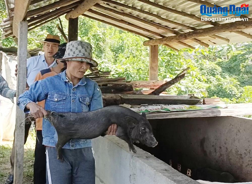 Trao sinh kế, chỉ cách thoát nghèo