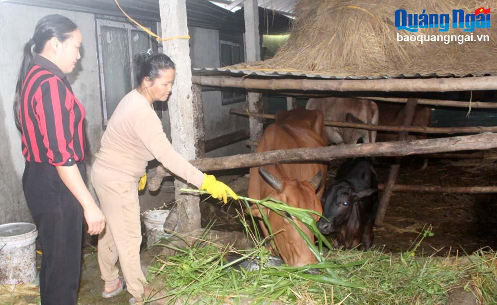 Thoát nghèo nhờ nguồn vốn vay ưu đãi