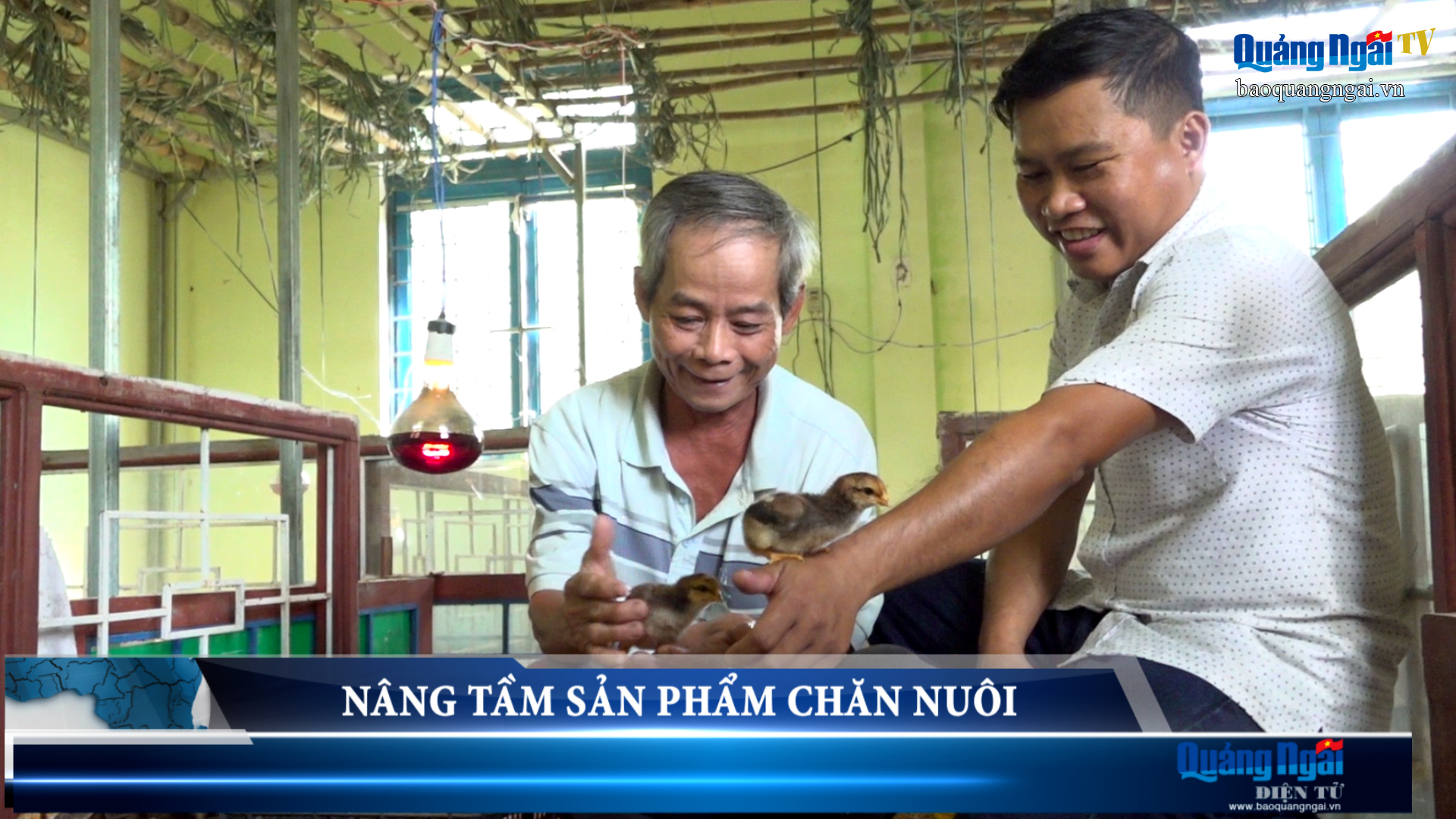 Video: Nâng tầm sản phẩm chăn nuôi