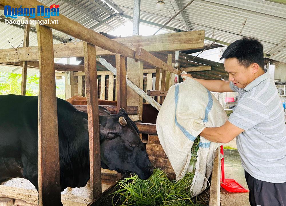 Phòng, chống dịch bệnh cho đàn vật nuôi