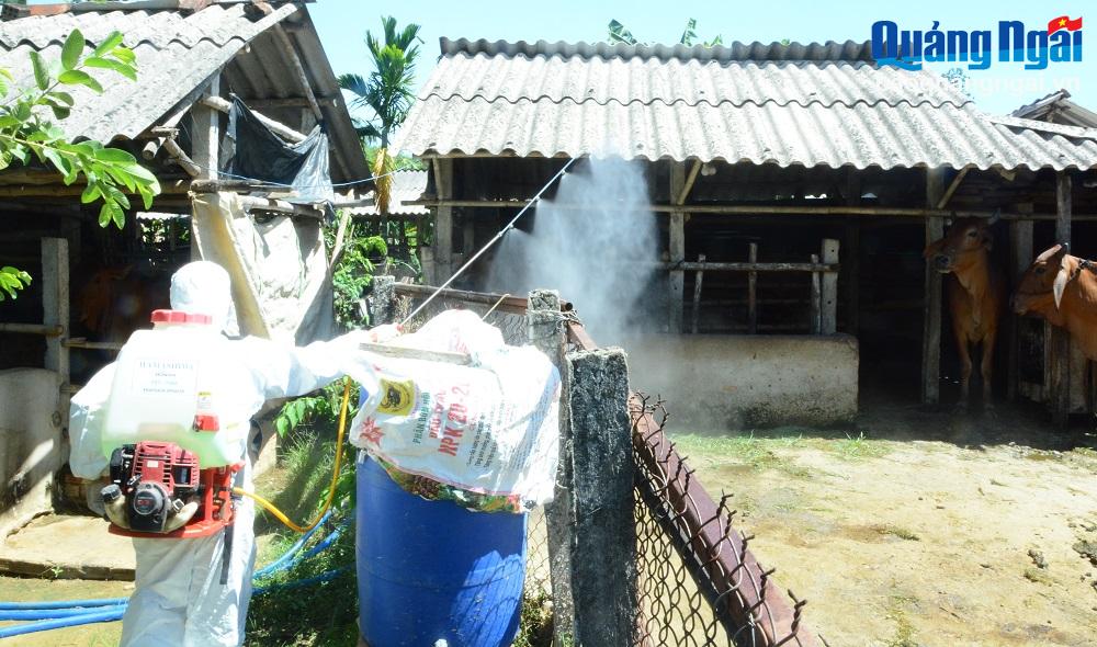 Chủ động phòng, chống dịch bệnh gia súc, gia cầm