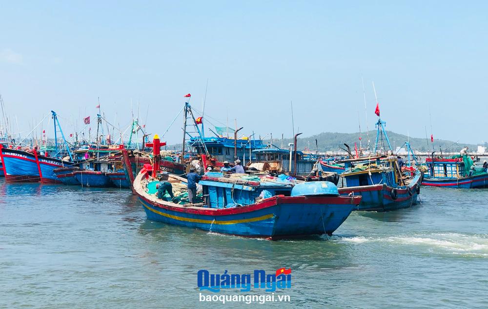 Bảo vệ và phát triển nguồn lợi thủy sản