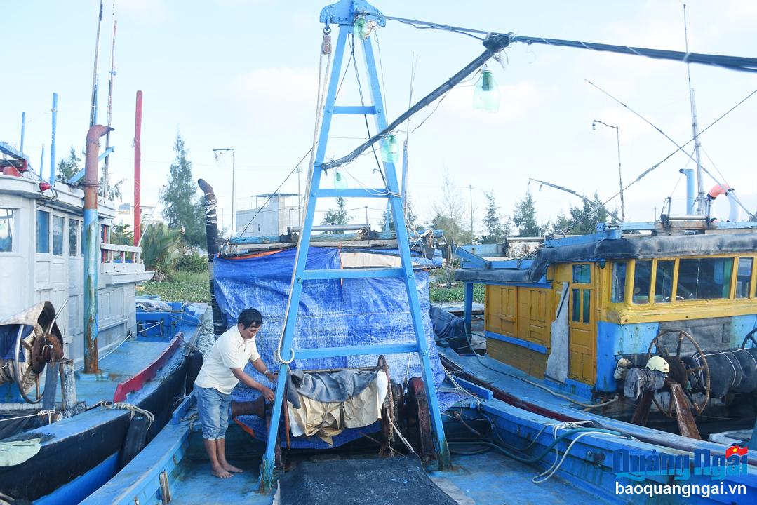 Tàu cá nằm bờ vì 3 không