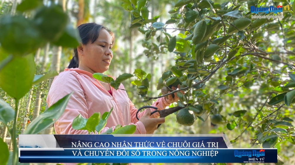 Video: Nâng cao nhận thức về chuỗi giá trị và chuyển đổi số trong nông nghiệp