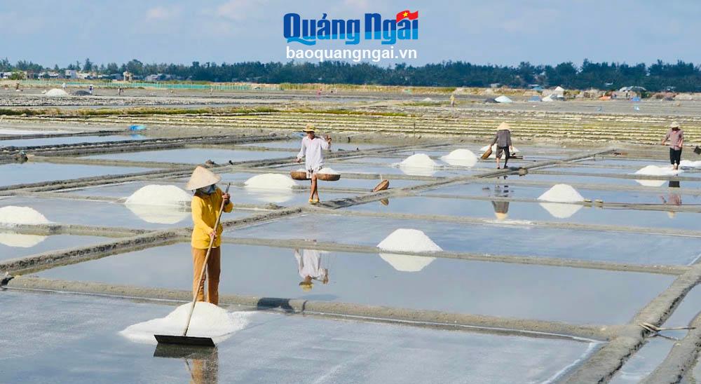 Hỗ trợ nâng tầm muối Sa Huỳnh