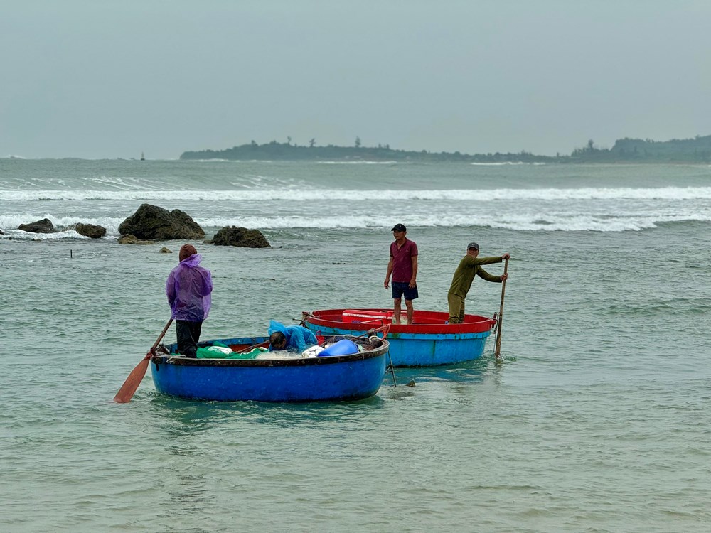 Để cá con kịp lớn