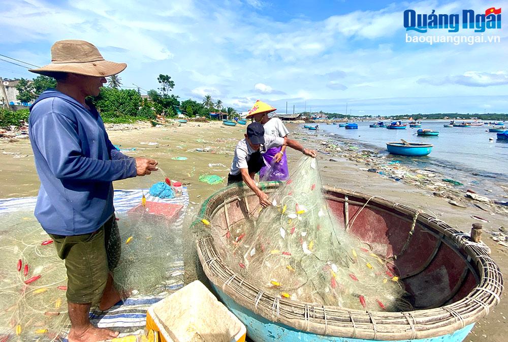 Ngư dân được mùa cá liệt