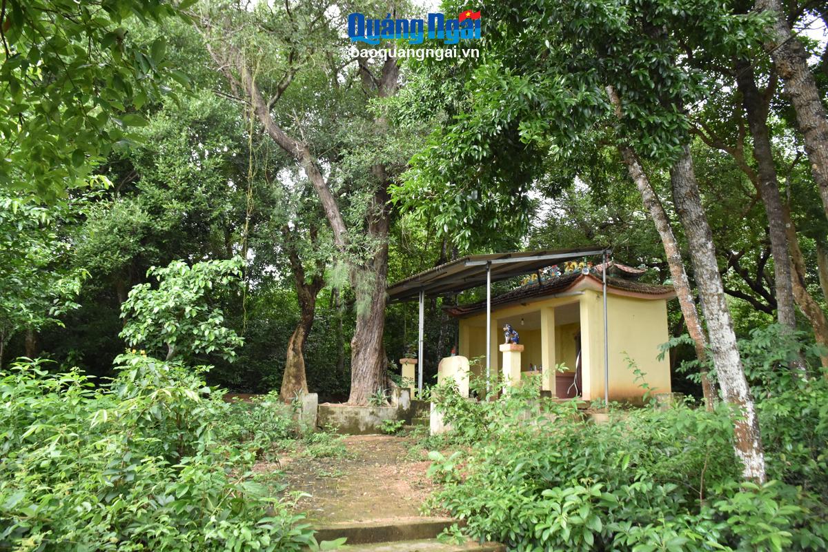 Gìn giữ rừng xưa và miếu cổ