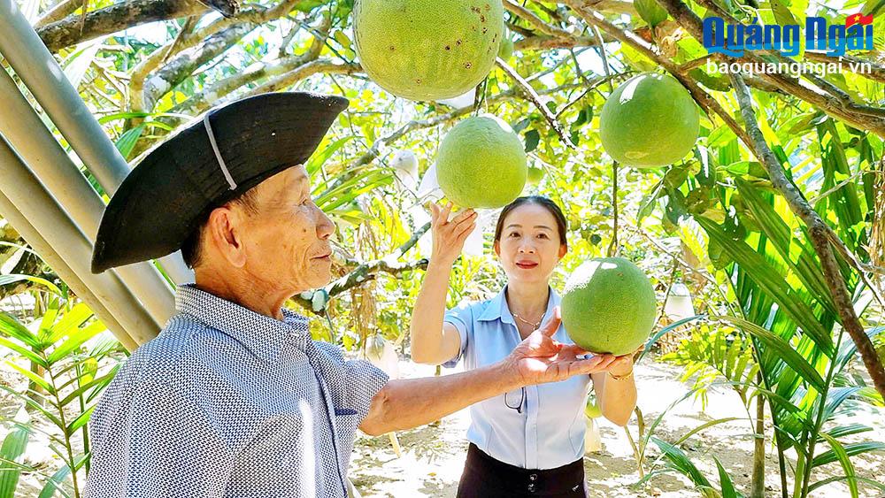 Nâng chất nông thôn mới từ nghị quyết chuyên đề