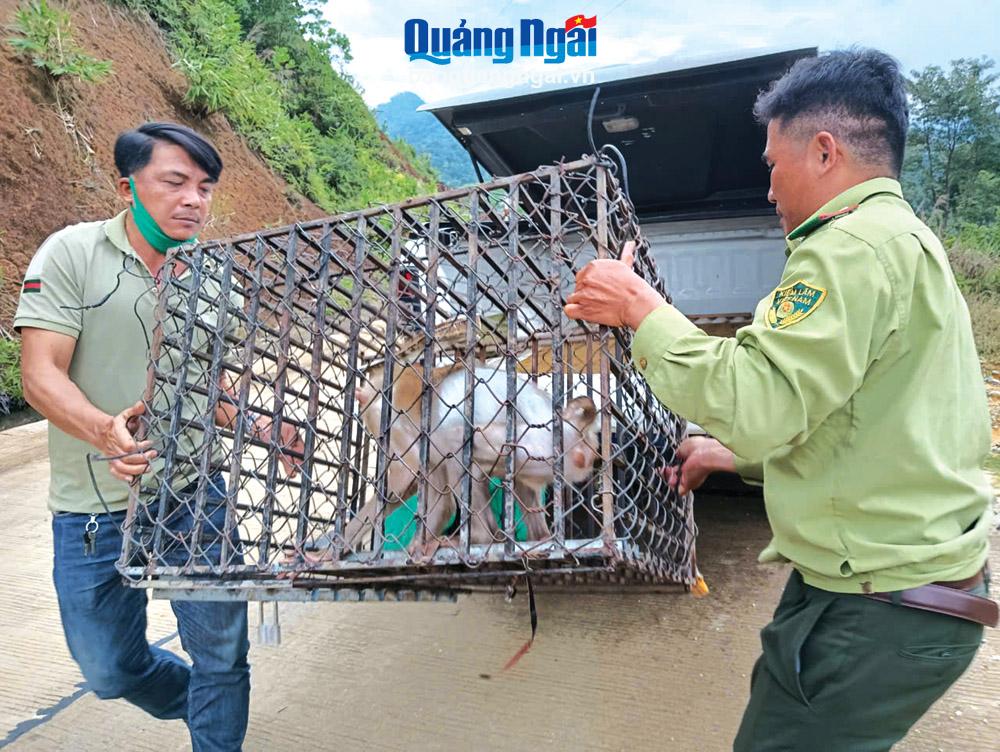 Bảo tồn đa dạng sinh học: Phát huy vai trò của cộng đồng