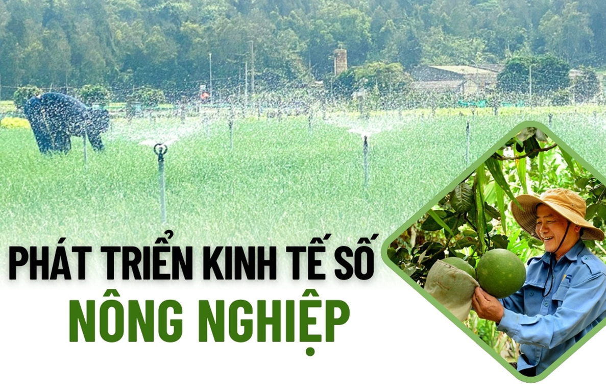 Phát triển kinh tế số nông nghiệp
