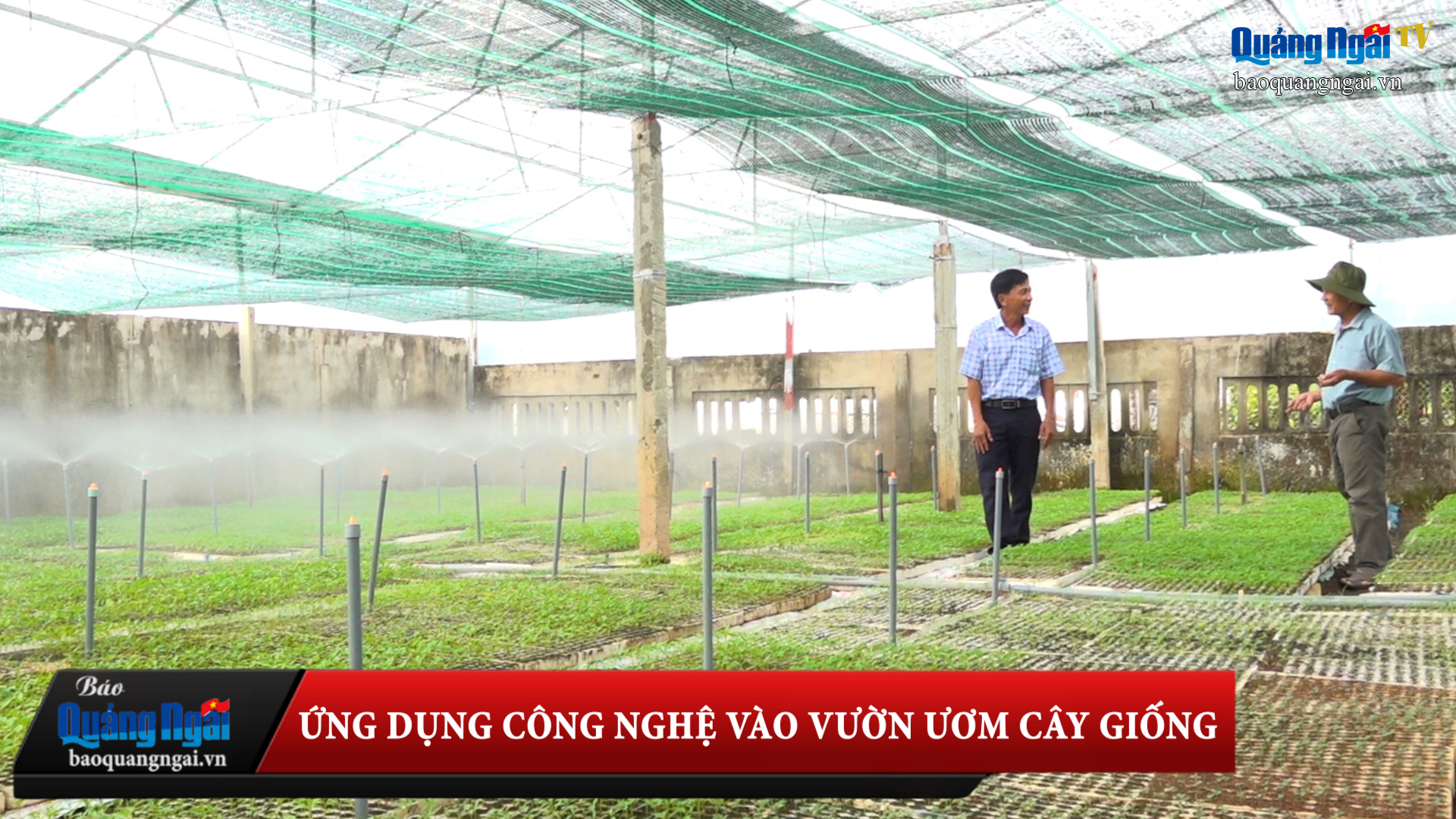 [Video]. Ứng dụng công nghệ vào vườn ươm cây giống