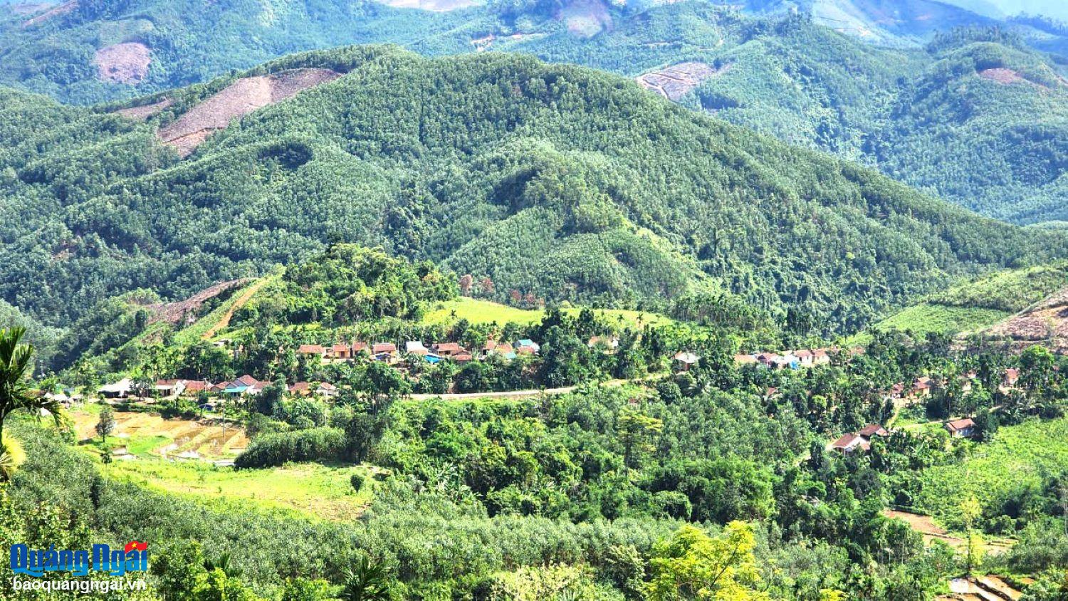 Tăng cường bảo tồn đa dạng sinh học và quản lý rừng