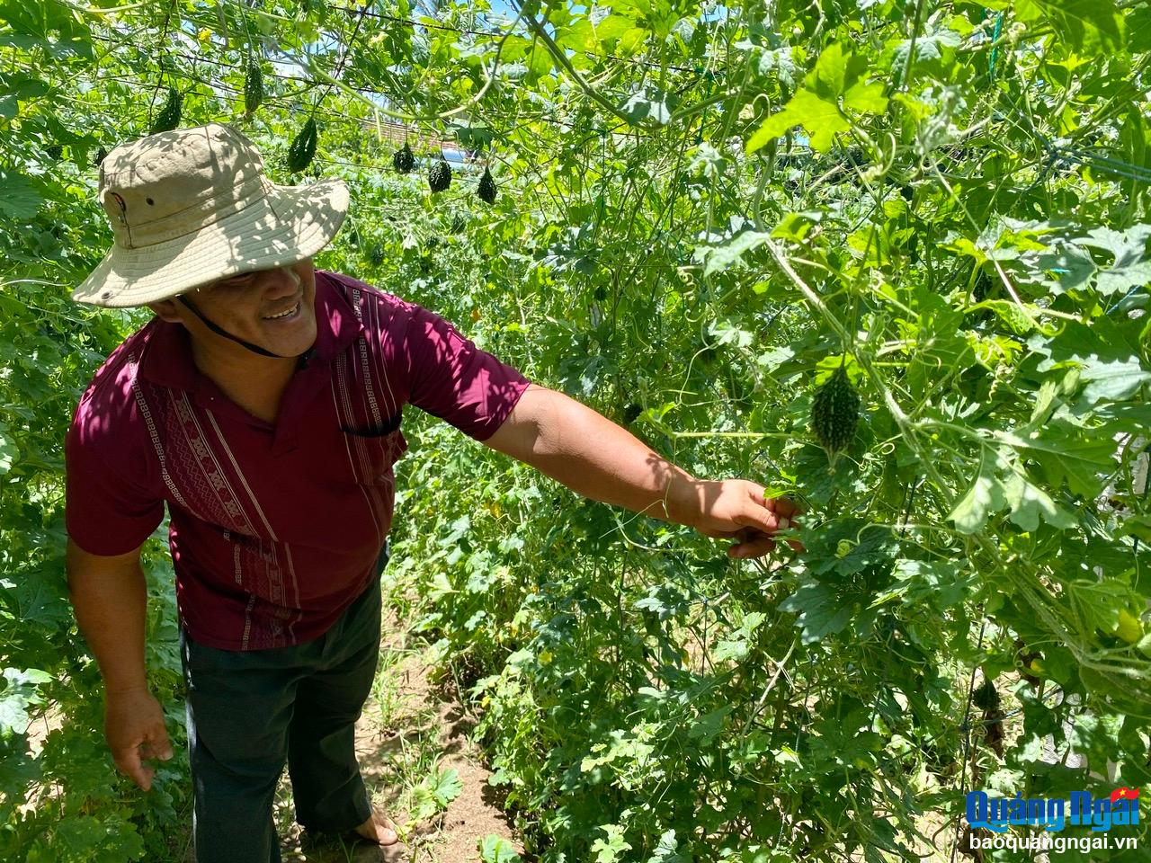 Cần nâng cao chất lượng nguồn nhân lực của hợp tác xã