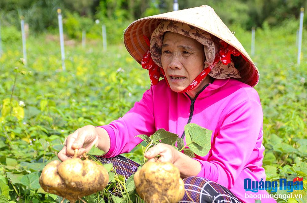 Nỗi buồn bên ruộng sắn