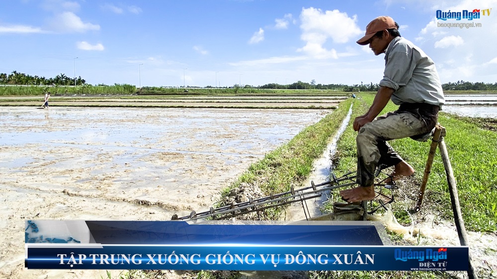 Video: Tập trung xuống giống vụ đông xuân
