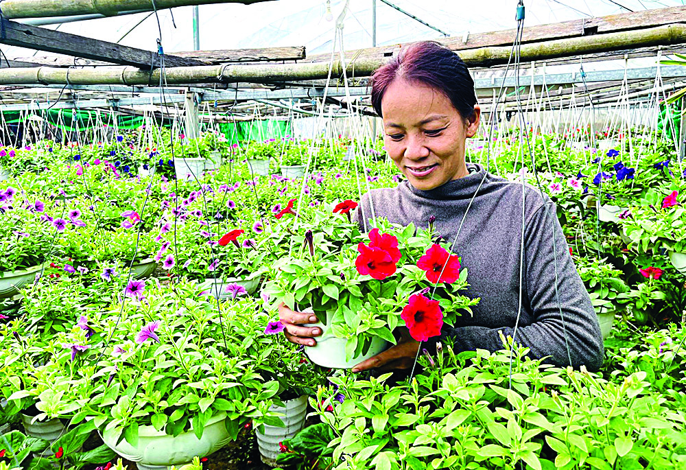 Những ngày cuối năm...  