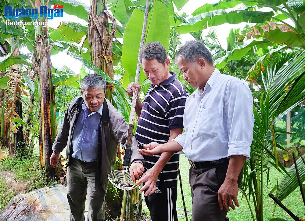 Phát triển mô hình kinh tế tổng hợp