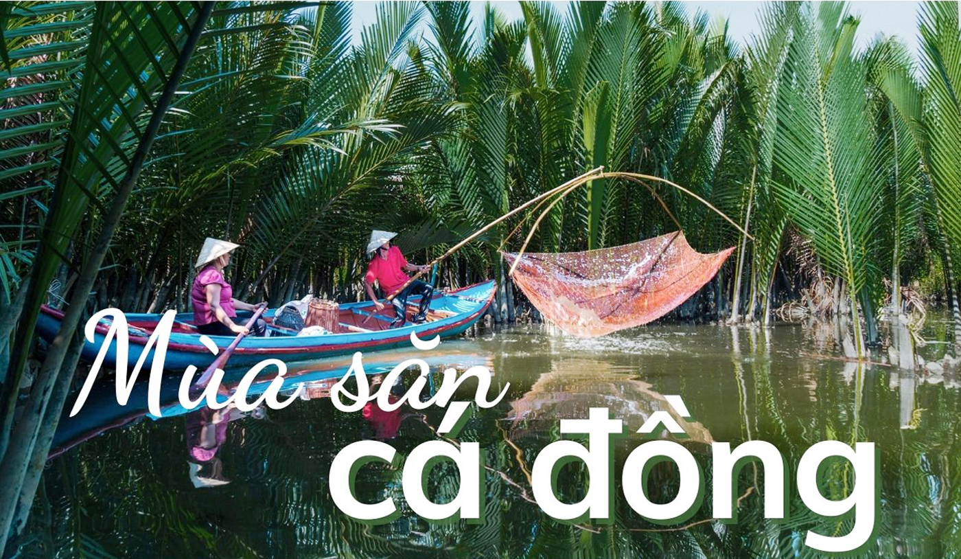 [Emagazine]. Mùa săn cá đồng