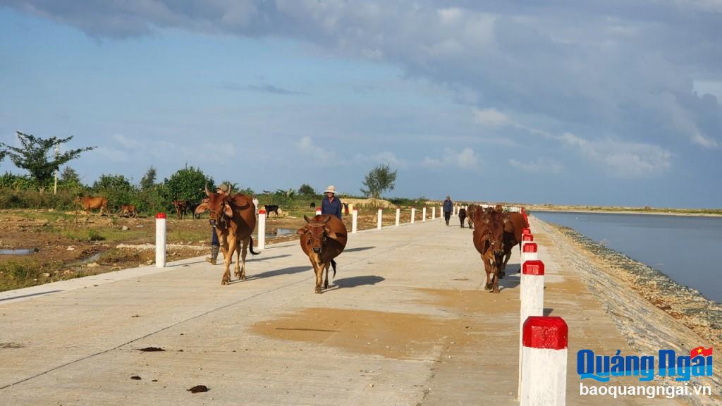 Đồng hành cùng mục tiêu giảm nghèo