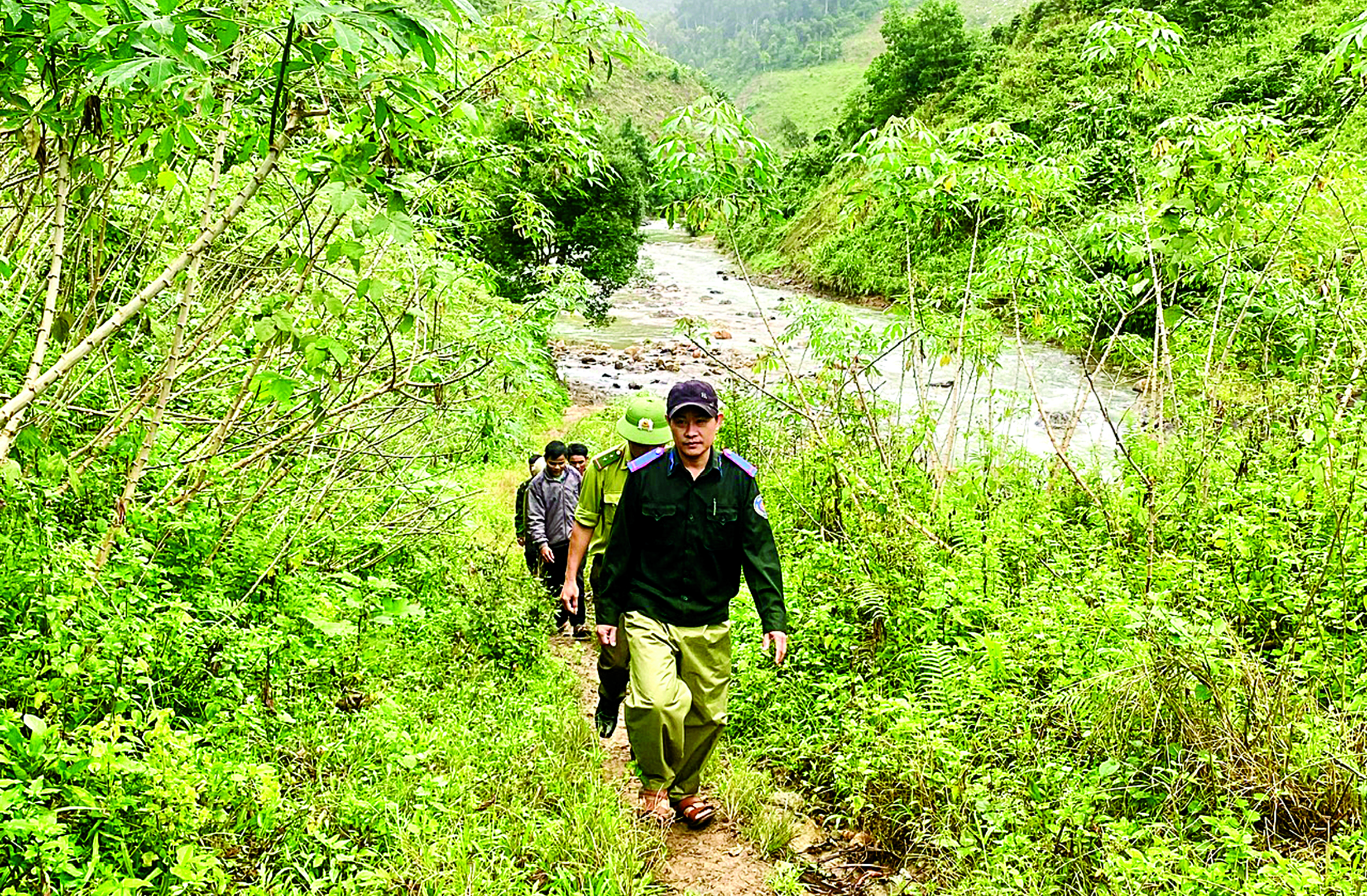 Chi trả dịch vụ môi trường rừng: Nhiều lợi ích