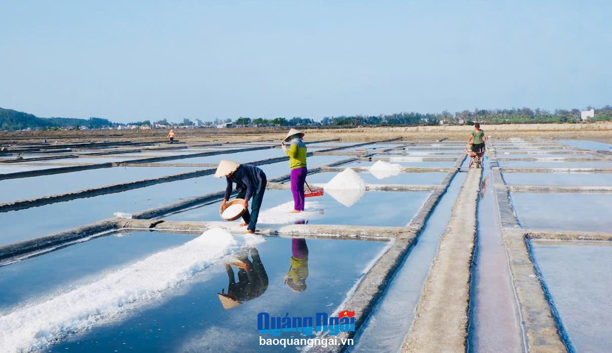 Nghề làm muối Sa Huỳnh được công nhận là Di sản văn hóa phi vật thể quốc gia