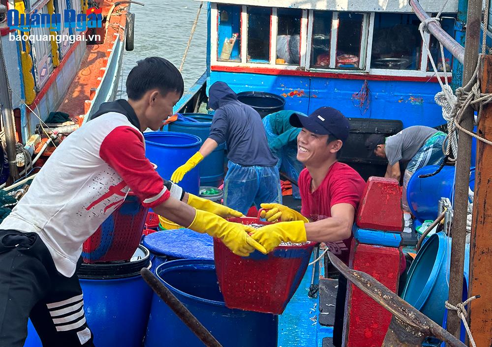 Khắc phục những lỗ hổng trong chống khai thác IUU