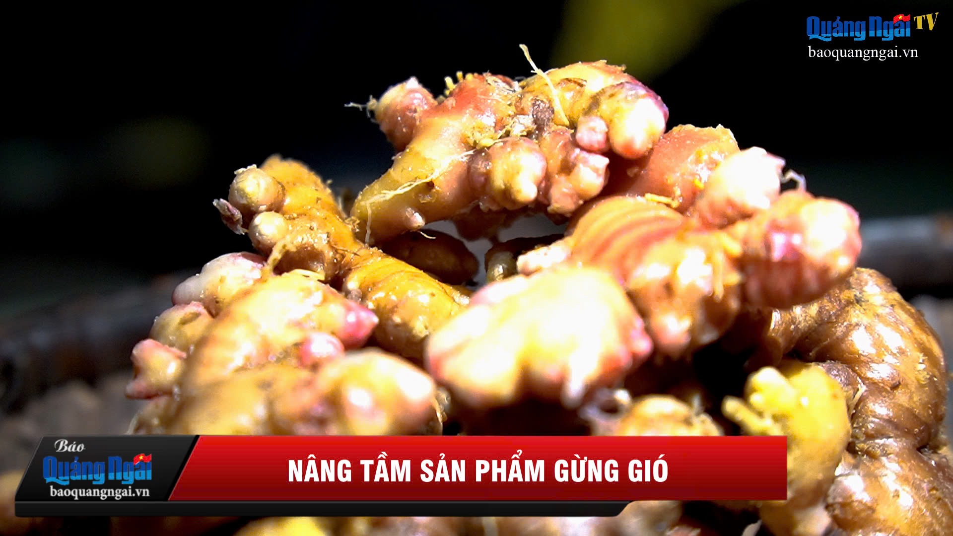 [Video]. Nâng tầm sản phẩm gừng gió