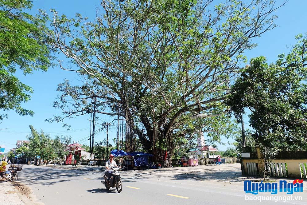 Sẵn sàng thành lập đơn vị hành chính mới