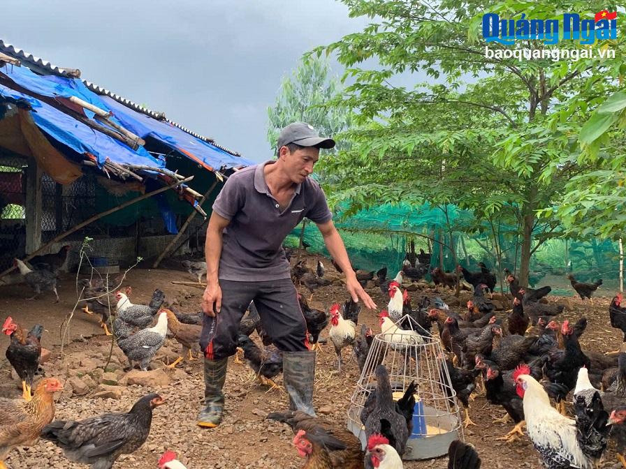 Lên núi làm trang trại