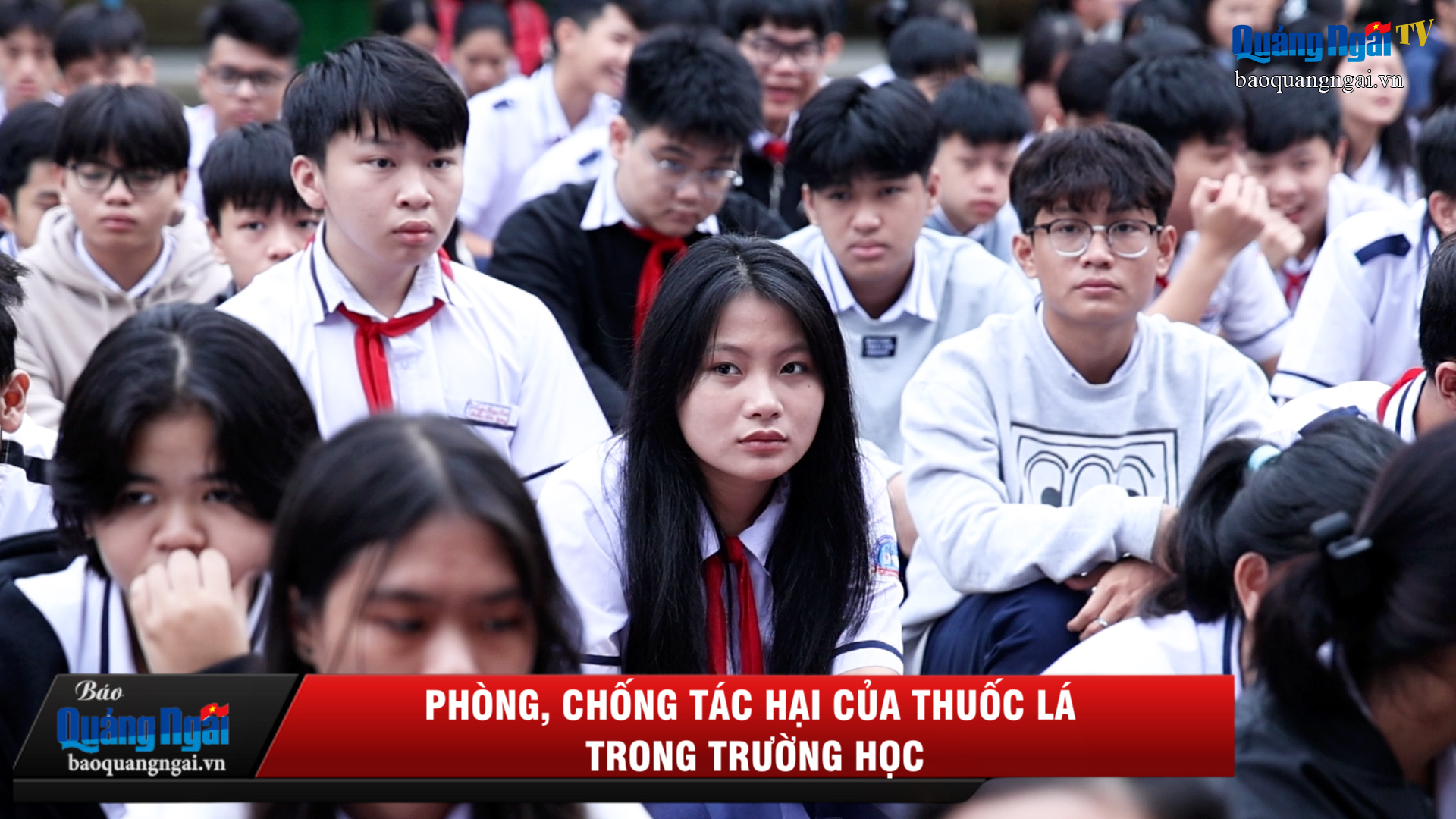 [Video]. Phòng, chống tác hại của thuốc lá trong trường học